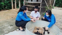 Đổi mới mô hình sinh hoạt đội tại địa bàn dân cư, hè vui an toàn tại huyện Hương Sơn