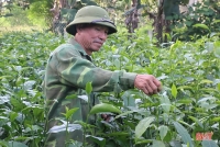 Người cựu binh Hà Tĩnh “vượt khó” làm kinh tế, tích cực đóng góp cho phong trào