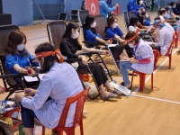 Hà Tĩnh: 520 đơn vị máu thu về từ chương trình Chủ nhật đỏ 2022
