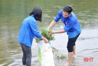 ĐVTN Hà Tĩnh thu gom, cắm biển cấm đổ rác bảo vệ các dòng sông