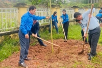 Đoàn viên cơ quan Đảng tích cực tham gia Chủ nhật xanh 26/10