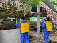 Tuổi trẻ Hương Khê tiếp tục các hoạt động phòng, chống dịch bệnh trên gia súc