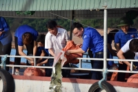 Cẩm Xuyên: Tổ chức chương trình “Thả cá vì lợi ích cộng đồng” năm 2020