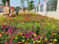 Đường hoa thanh niên - Nét đẹp trong xây dựng Nông thôn mới tại Hà Tĩnh