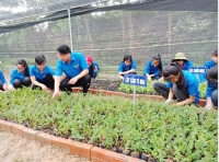 Tuổi trẻ Hương Sơn xây dựng 28 vườn ươm cây hoa giống