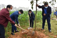 Tuổi trẻ Hà Tĩnh hưởng ứngTết trồng cây "Đời đời nhớ ơn Bác Hồ" Xuân Tân Sửu 2021
