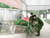 Sôi nổi các hoạt động hưởng ứng Chiến dịch “Hành quân xanh”  trong tuổi trẻ lực lượng vũ trang Hà Tĩnh