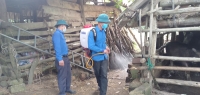 Đoàn viên thanh niên Hương Khê ra quân giúp người dân phòng trừ dịch bệnh cho gia súc