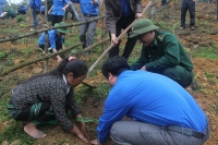 Tỉnh đoàn Hà Tĩnh hỗ trợ Thanh niên dân tộc Chứt phát triển kinh tế vườn đồi