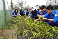 Vườn ươm cây giống của thanh niên Hà Tĩnh – Mô hình thiết thực cần nhân rộng